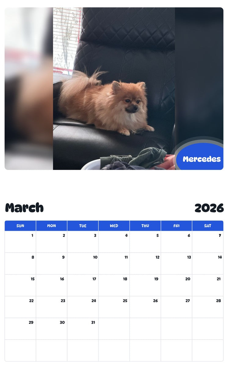 November 2025 - October 2026 Mercedes - Pawidols Pet Calendar