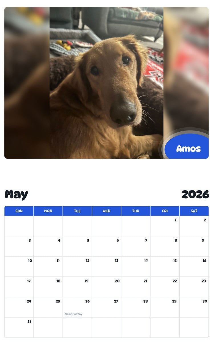 2026 - 2027 Amos - Pawidols Pet Calendar