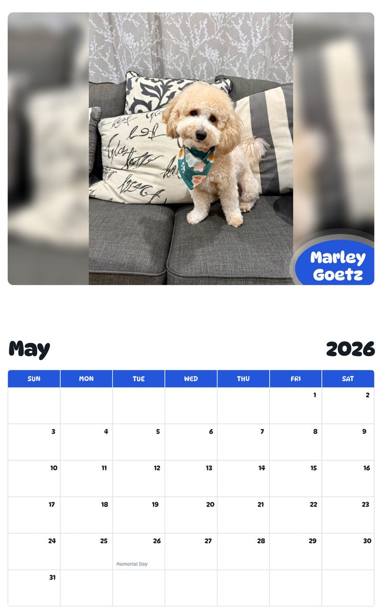 2026 - 2027 Marley Goetz - Pawidols Pet Calendar