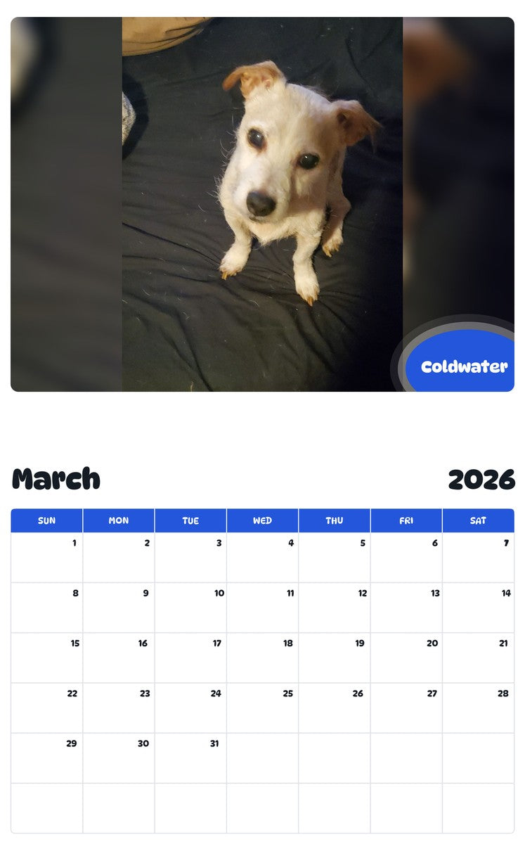 November 2025 - October 2026 Coldwater - Pawidols Pet Calendar