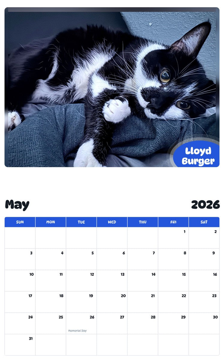 2026 - 2027 Lloyd Burger - Pawidols Pet Calendar
