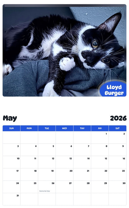 2026 - 2027 Lloyd Burger - Pawidols Pet Calendar