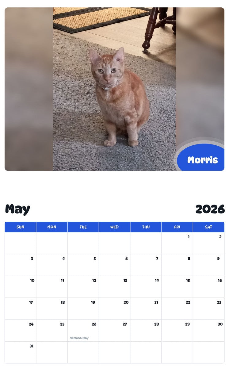 2026 - 2027 Morris - Pawidols Pet Calendar