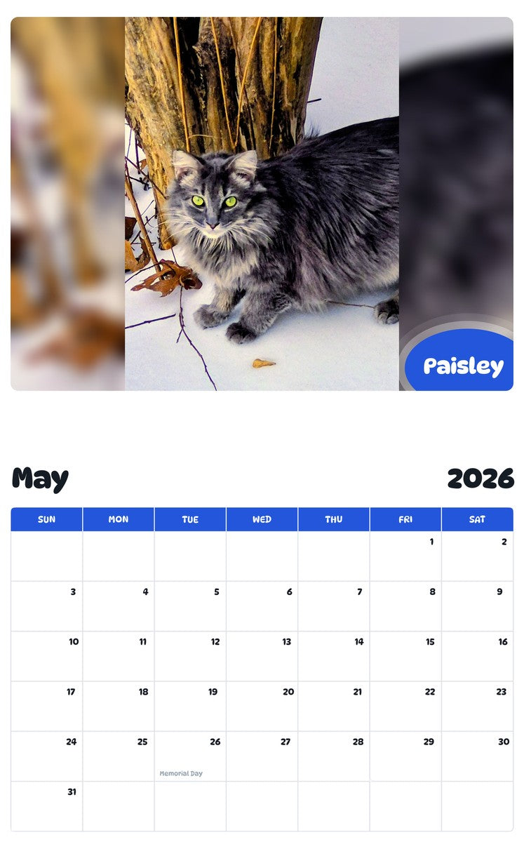 2026 - 2027 Paisley - Pawidols Pet Calendar