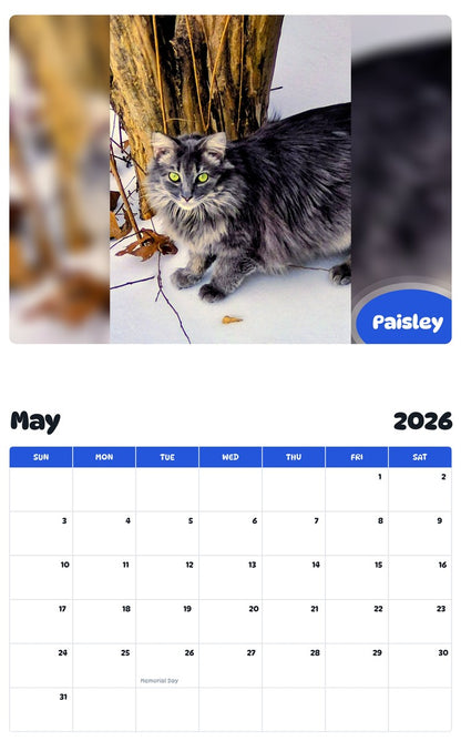 2026 - 2027 Paisley - Pawidols Pet Calendar