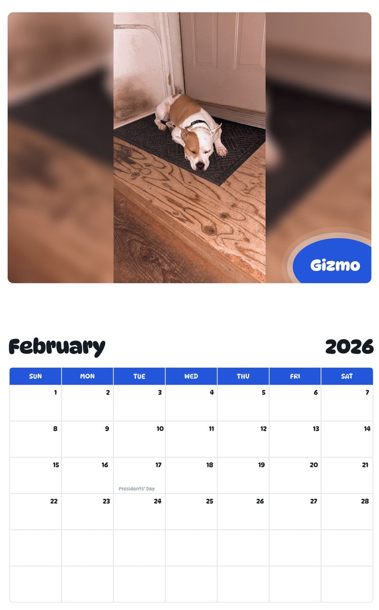 November 2025 - October 2026 Gizmo - Pawidols Pet Calendar