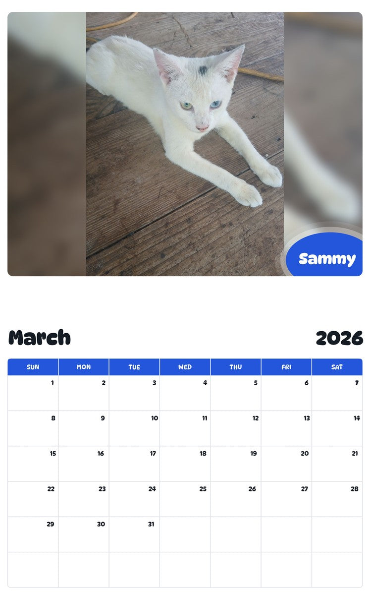 November 2025 - October 2026 Sammy - Pawidols Pet Calendar