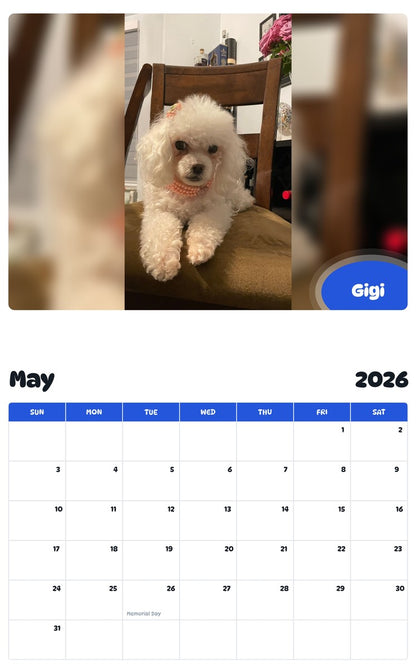 2026 - 2027 Gigi - Pawidols Pet Calendar