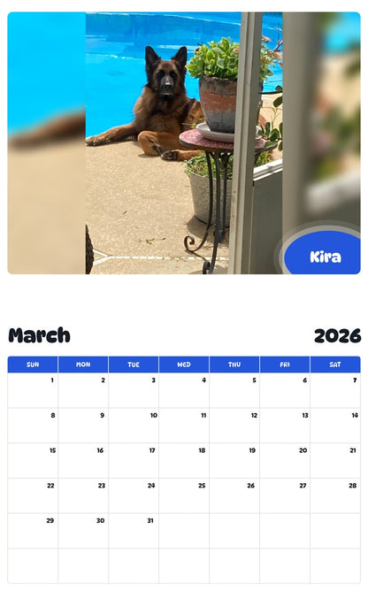 November 2025 - October 2026 Kira - Pawidols Pet Calendar