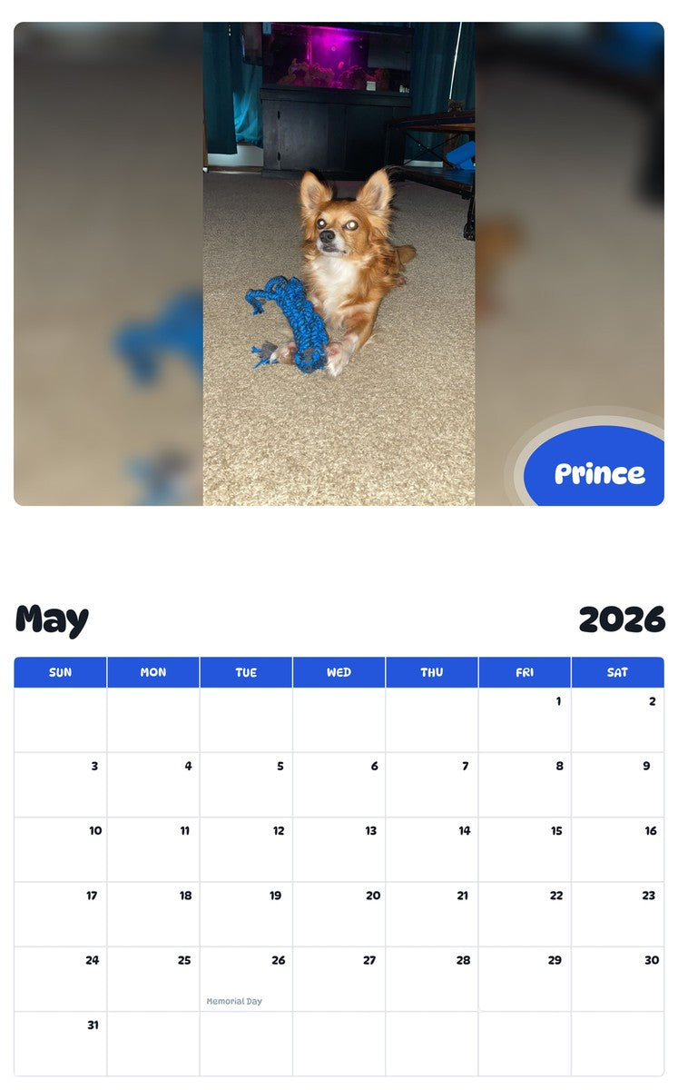 2026 - 2027 Prince - Pawidols Pet Calendar
