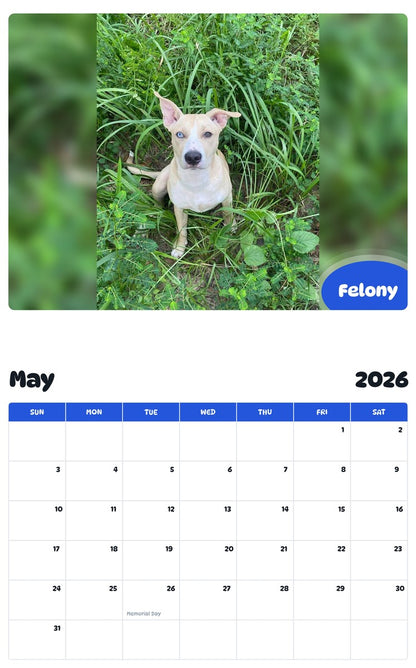 2026 - 2027 Felony - Pawidols Pet Calendar