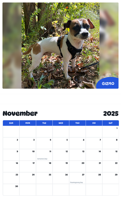 July 2025 - June 2026 Gizmo - Pawidols Pet Calendar
