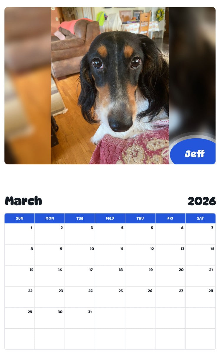 November 2025 - October 2026 Jeff - Pawidols Pet Calendar