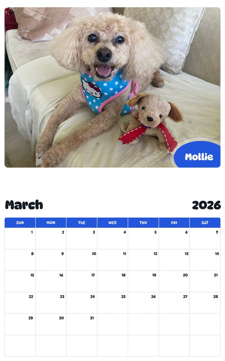 November 2025 - October 2026 Mollie - Pawidols Pet Calendar
