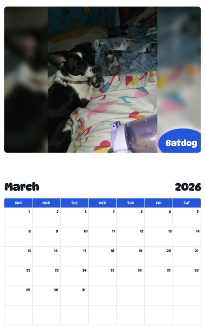 November 2025 - October 2026 Batdog - Pawidols Pet Calendar