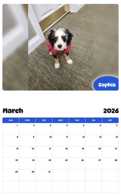 November 2025 - October 2026 Sophia - Pawidols Pet Calendar