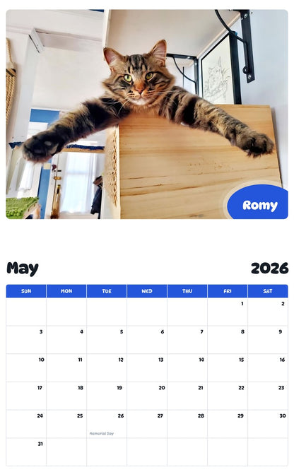 2026 - 2027 Romy - Pawidols Pet Calendar