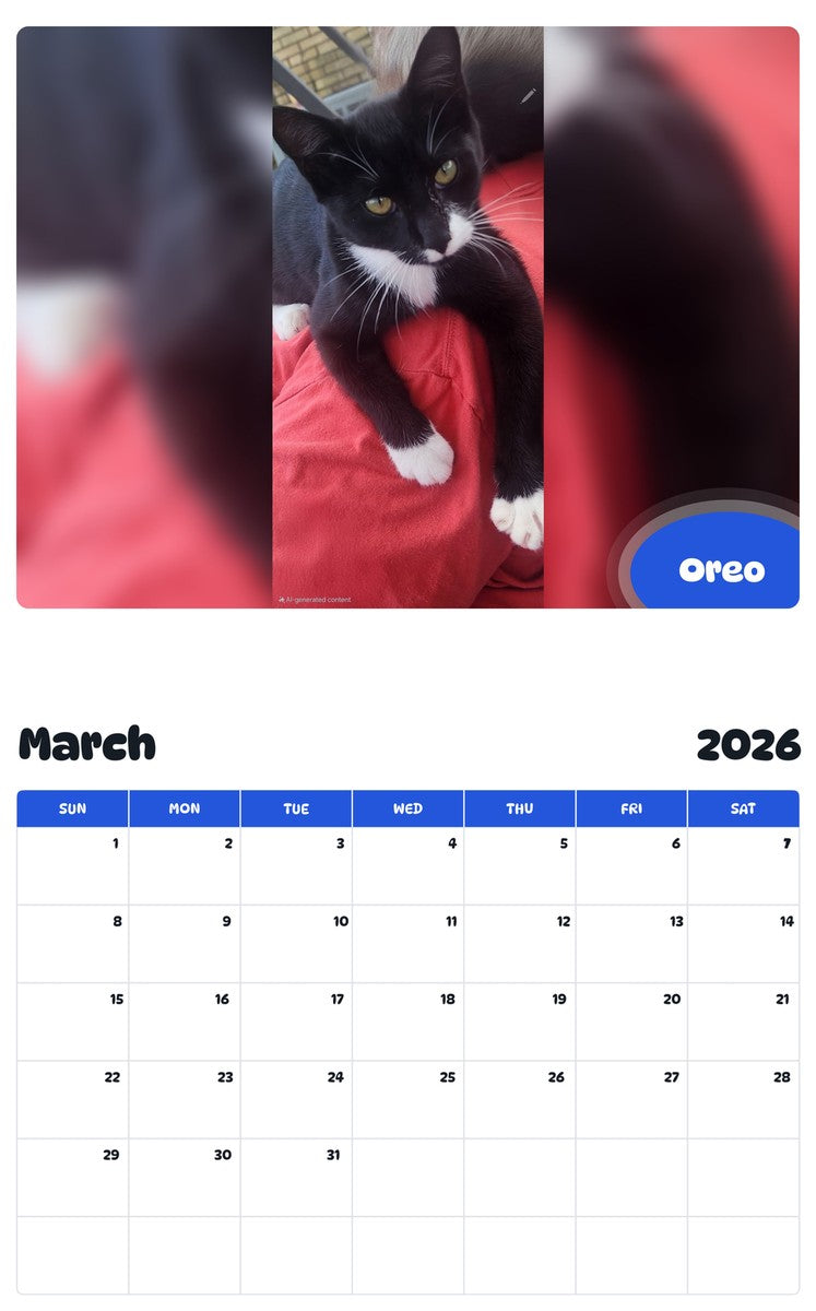 November 2025 - October 2026 Oreo - Pawidols Pet Calendar