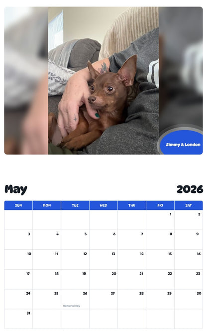 2026 - 2027 Jimmy & London - Pawidols Pet Calendar