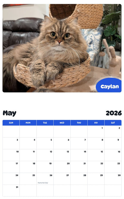 2026 - 2027 Caylan - Pawidols Pet Calendar