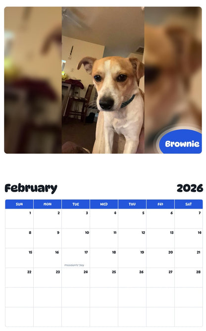October 2025 - September 2026 Brownie - Pawidols Pet Calendar