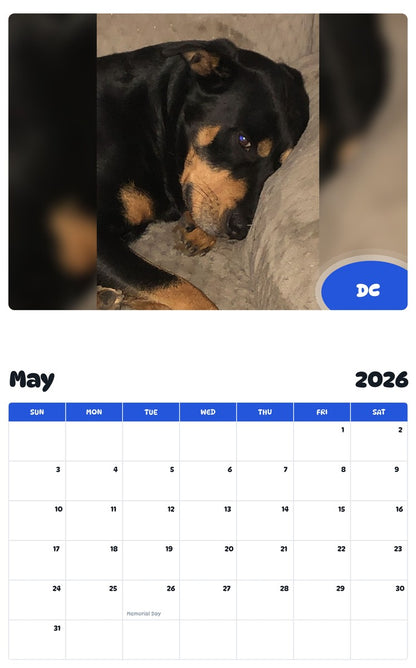 2026 - 2027 DC - Pawidols Pet Calendar