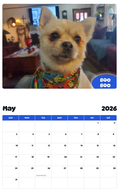 2026 - 2027 BOO BOO - Pawidols Pet Calendar