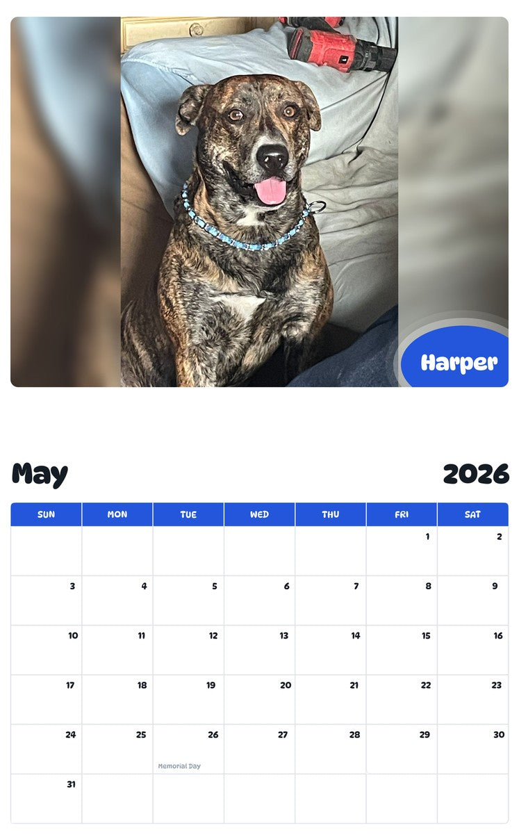 2026 - 2027 Harper - Pawidols Pet Calendar