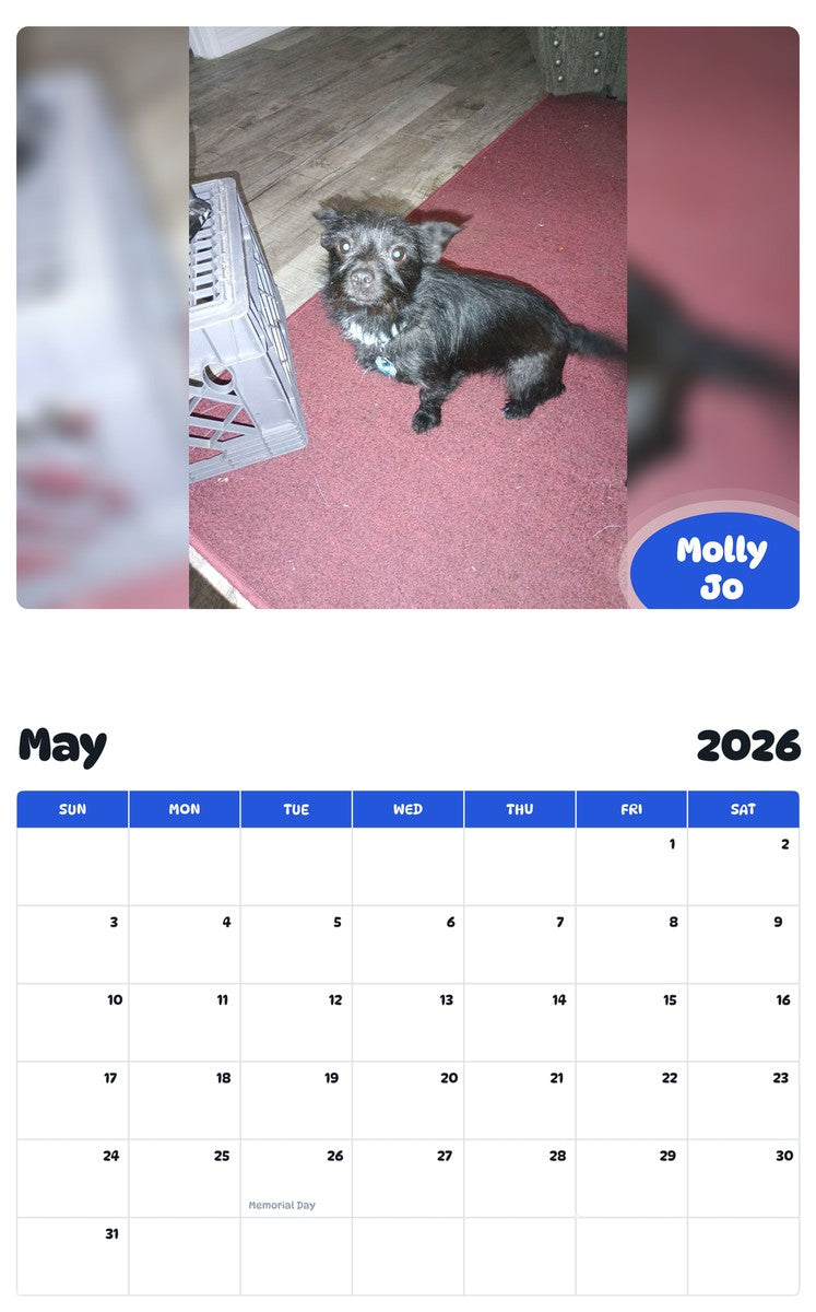 2026 - 2027 Molly Jo - Pawidols Pet Calendar