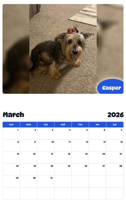 November 2025 - October 2026 Casper - Pawidols Pet Calendar