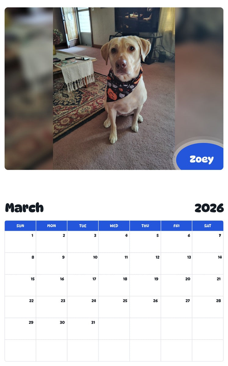 November 2025 - October 2026 Zoey - Pawidols Pet Calendar
