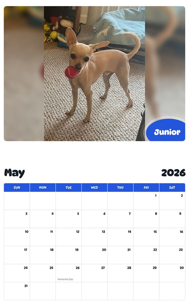2026 - 2027 Junior - Pawidols Pet Calendar