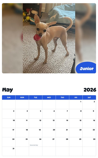 2026 - 2027 Junior - Pawidols Pet Calendar