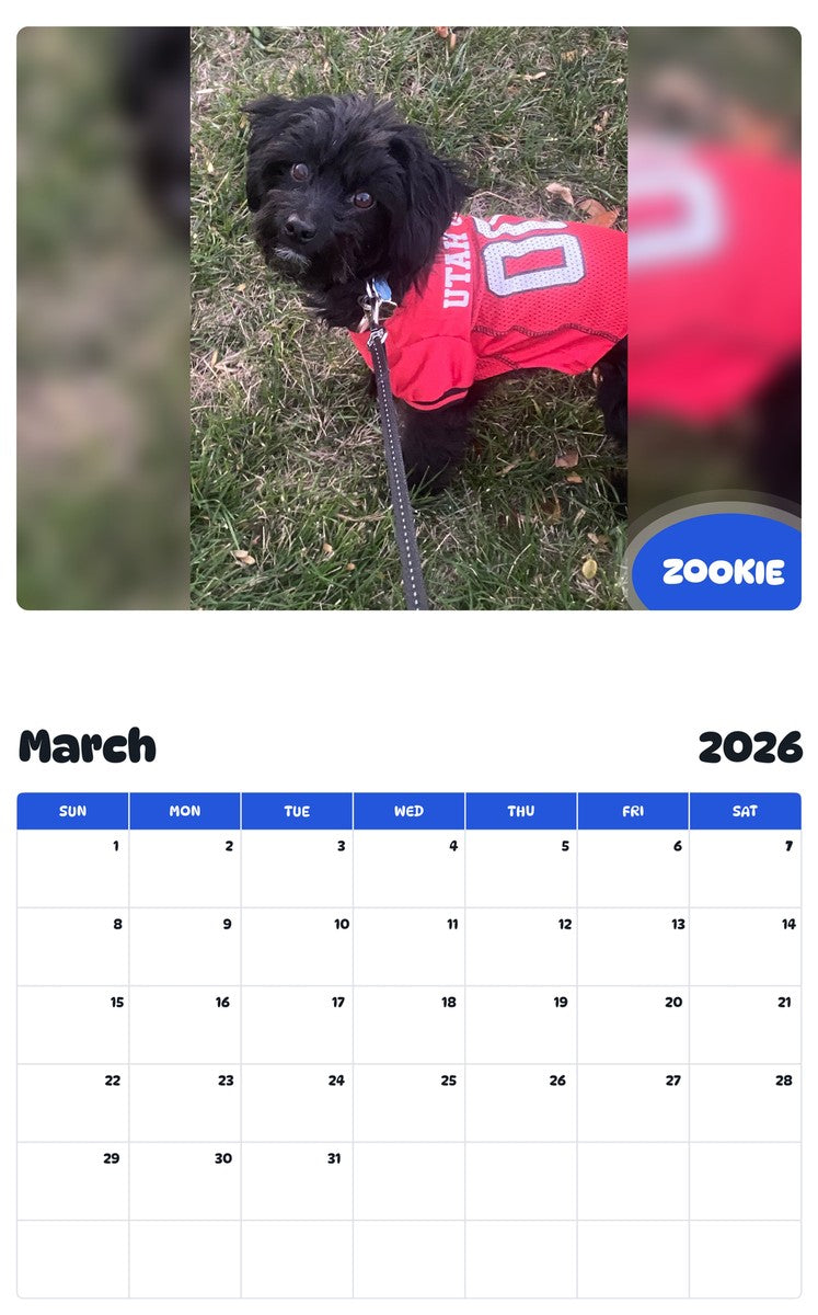 November 2025 - October 2026 ZOOKIE - Pawidols Pet Calendar