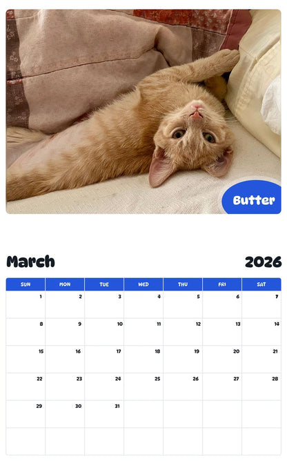 November 2025 - October 2026 Butter - Pawidols Pet Calendar