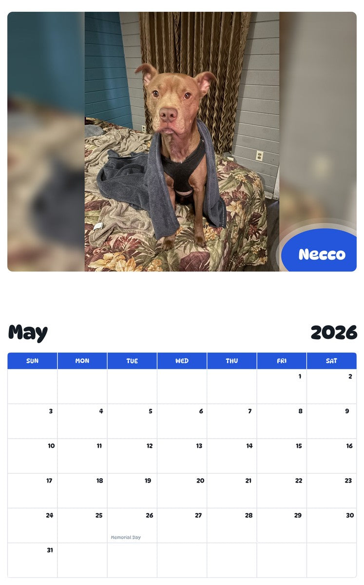 2026 - 2027 Necco - Pawidols Pet Calendar