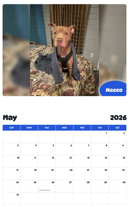 2026 - 2027 Necco - Pawidols Pet Calendar
