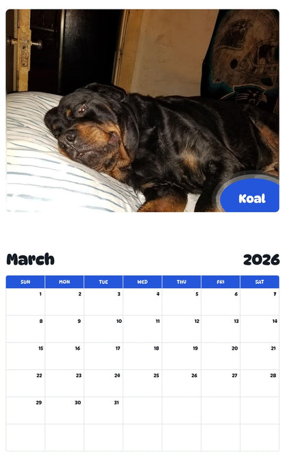 November 2025 - October 2026 Koal - Pawidols Pet Calendar