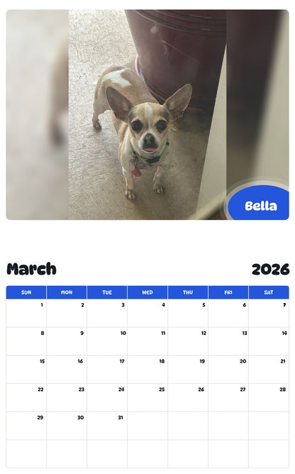 November 2025 - October 2026 Bella - Pawidols Pet Calendar