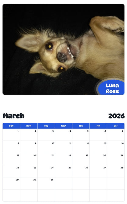 November 2025 - October 2026 Luna Rose - Pawidols Pet Calendar