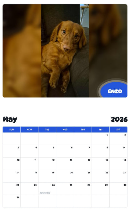 2026 - 2027 ENZO - Pawidols Pet Calendar
