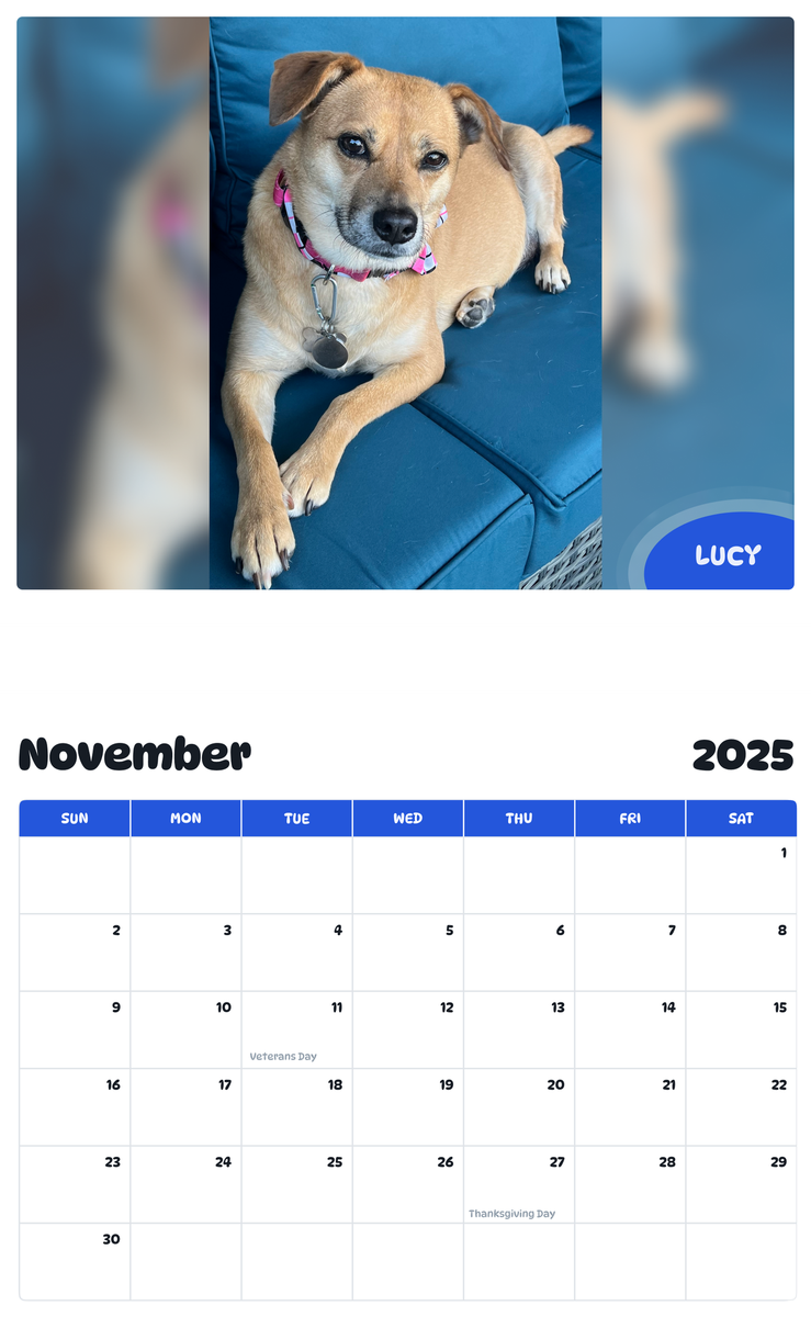 July 2025 June 2026 Lucy Pawidols Pet Calendar July 2025 june 2026 lucy pawidols pet calendar