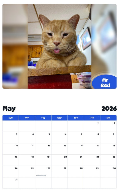 2026 - 2027 Mr Red - Pawidols Pet Calendar