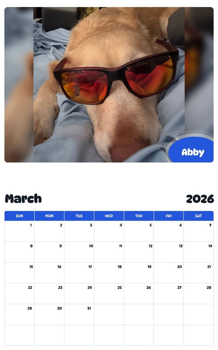 November 2025 - October 2026 Abby - Pawidols Pet Calendar