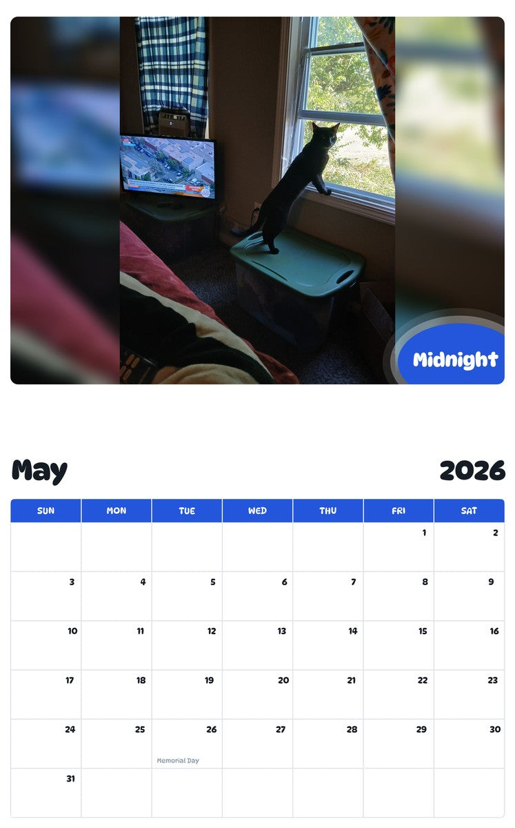 2026 - 2027 Midnight - Pawidols Pet Calendar