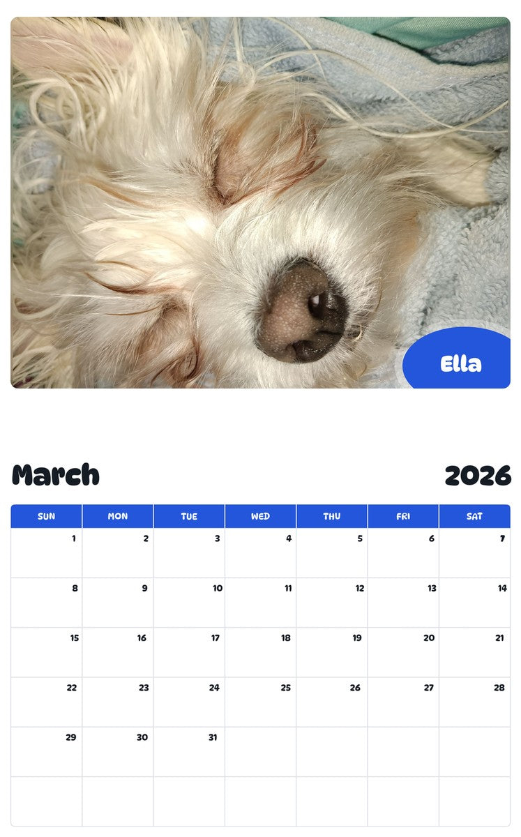 November 2025 - October 2026 Ella - Pawidols Pet Calendar