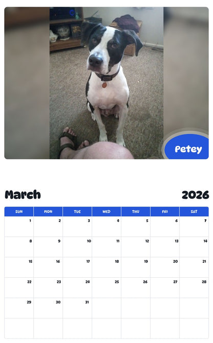 November 2025 - October 2026 Petey - Pawidols Pet Calendar