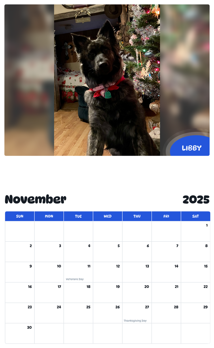 July 2025 - June 2026 Libby - Pawidols Pet Calendar
