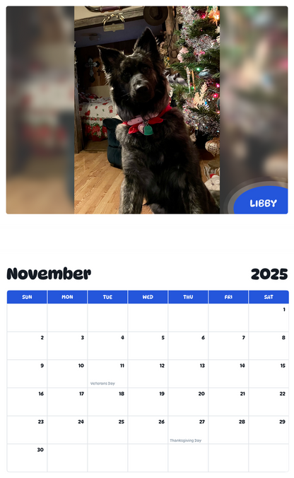 July 2025 - June 2026 Libby - Pawidols Pet Calendar
