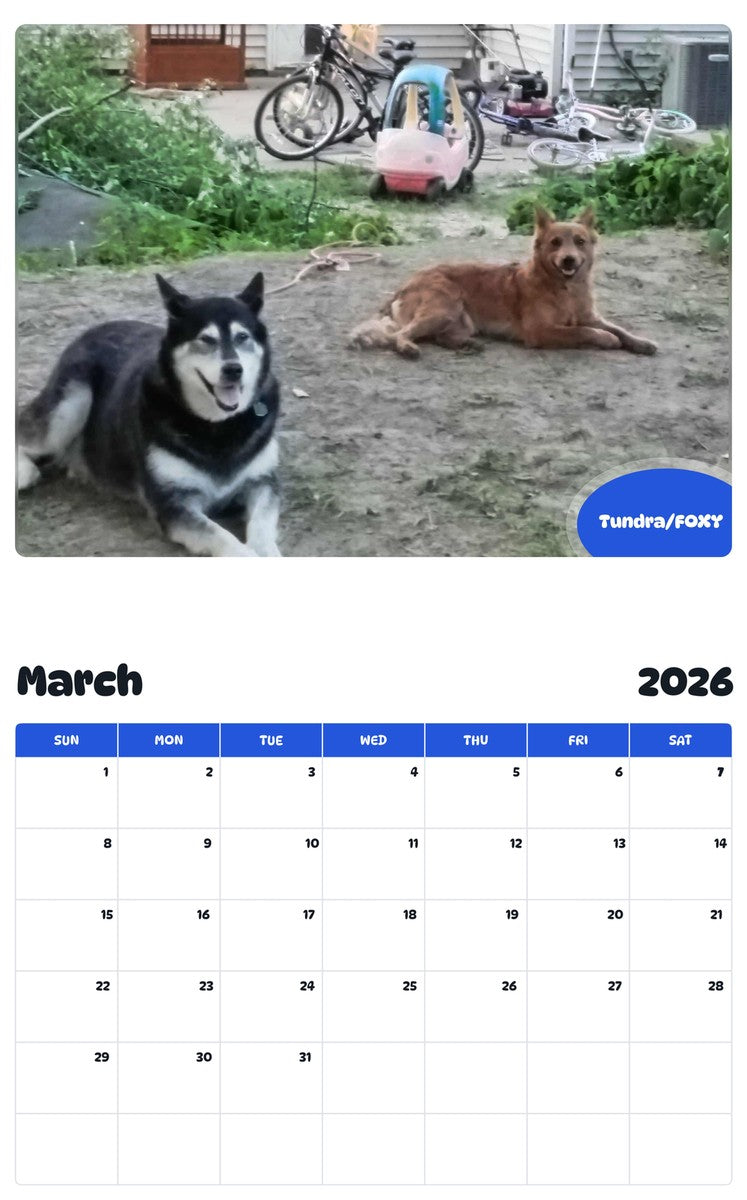 November 2025 - October 2026 Tundra/FOXY - Pawidols Pet Calendar